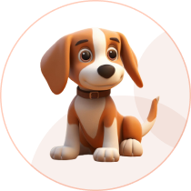 Pet Care